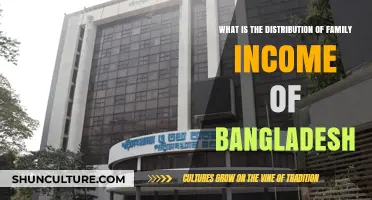 Understanding Bangladesh's Family Income Distribution: Trends and Insights