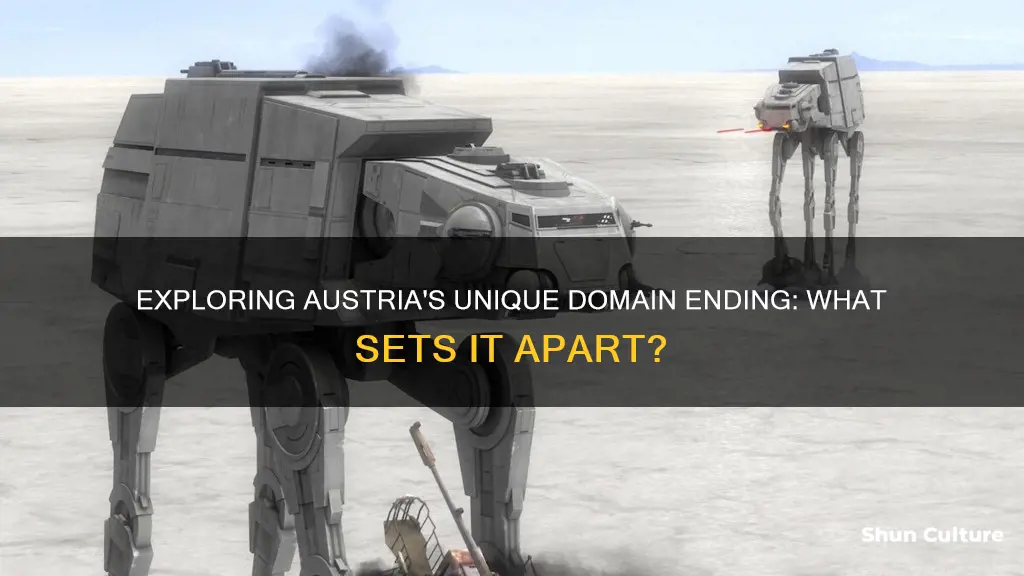 what is the domain ending for austria