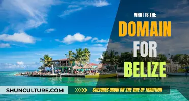 Belize's Domain Identity: A Country's Online Presence