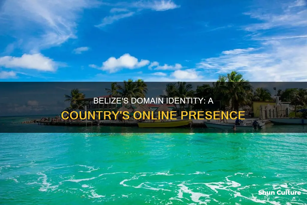 what is the domain for belize