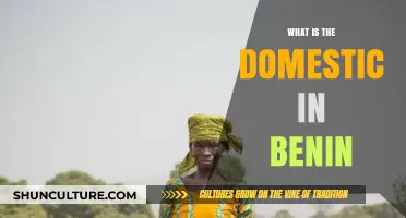 Exploring the Domestic Sphere in Benin: A Cultural Insight