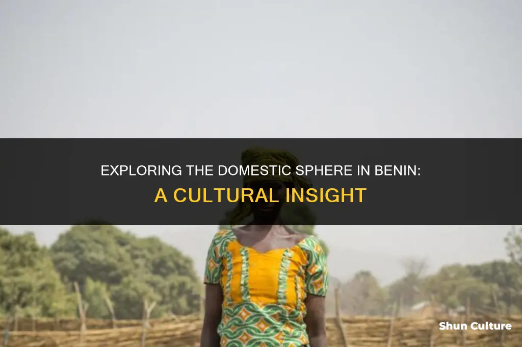what is the domestic in benin