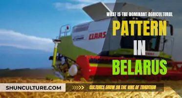 Belarus' Agricultural Pattern: A Dominant Strategy