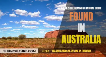 Australia's Natural Landscape: A Biome Overview