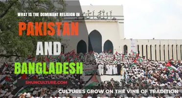 Islam's Dominance: Exploring Pakistan and Bangladesh's Religious Landscapes