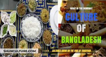 Exploring Bangladesh's Dominant Culture: Traditions, Values, and Identity