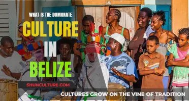 The Cultural Mosaic of Belize: Exploring the Country's Dominant Influences