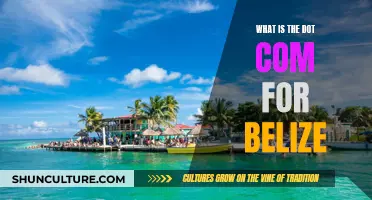 Belize's Digital Domain: Understanding the Country's Dot Com Presence