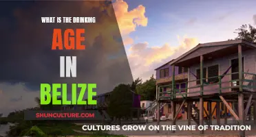 Belize's Drinking Age Limit Laws Explained