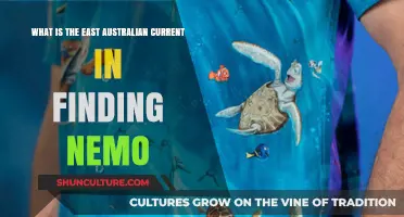 Finding Nemo: East Australian Current Explained
