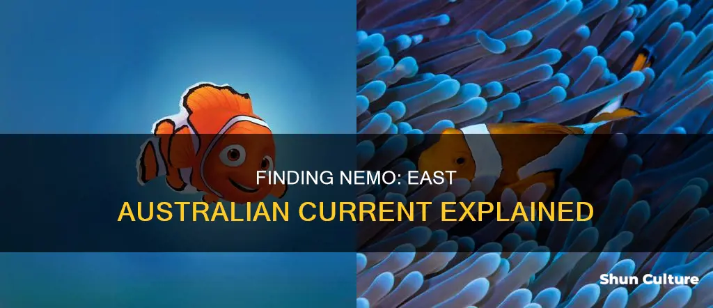what is the east australian current in finding nemo
