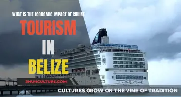 Cruise Tourism Economics: Unlocking Belize's Potential