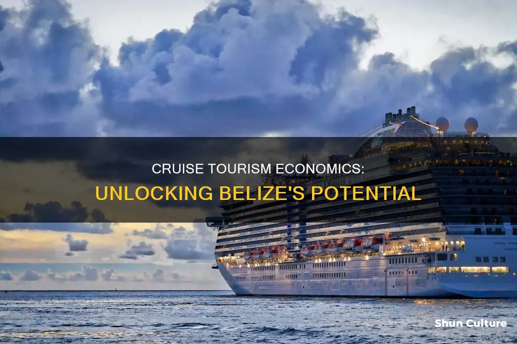 what is the economic impact of cruise tourism in belize