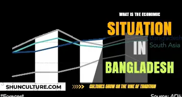 Exploring Bangladesh's Economic Landscape: Challenges, Growth, and Future Prospects