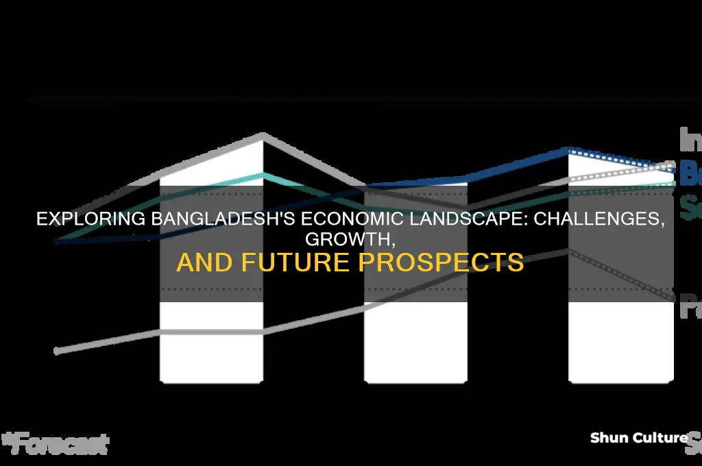 what is the economic situation in bangladesh