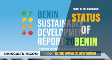 Exploring Benin's Economic Landscape: Challenges and Opportunities