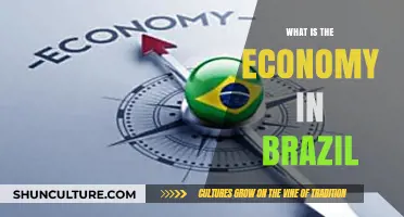 Exploring Brazil's Economy: Growth, Challenges, and Global Impact