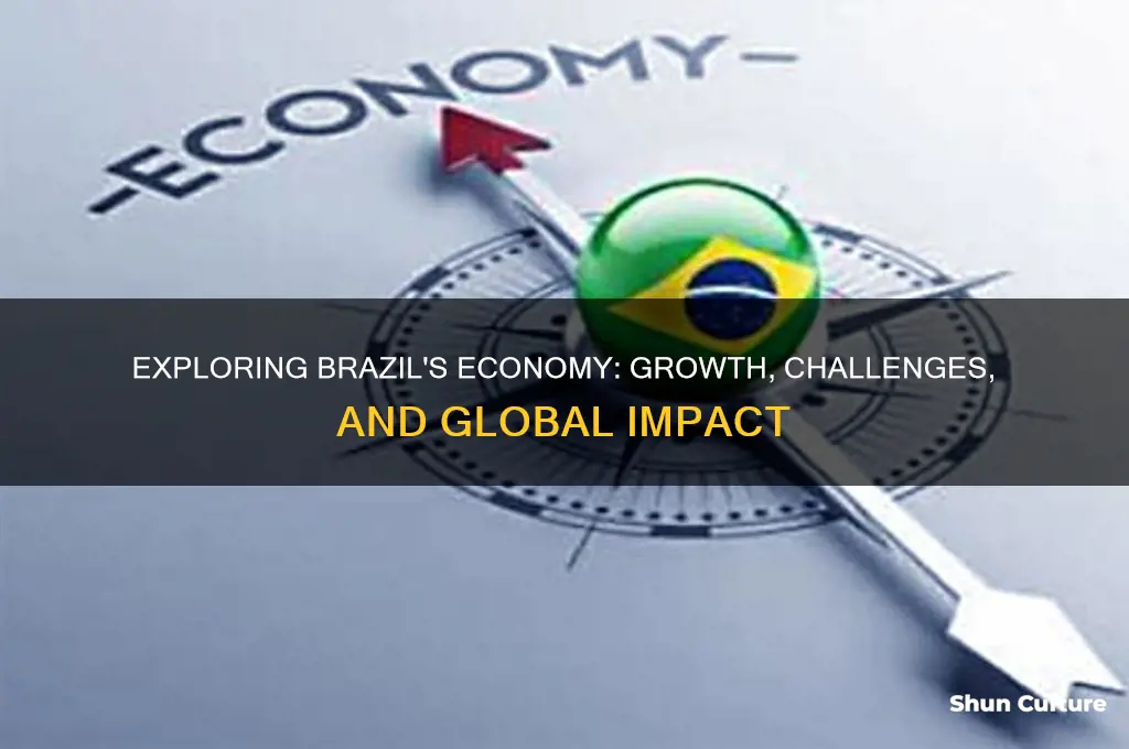 what is the economy in brazil