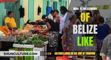 Belize's Economy: A Tropical Blend of Opportunities and Challenges