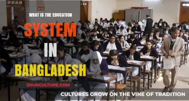 Exploring Bangladesh's Education System: Structure, Challenges, and Opportunities