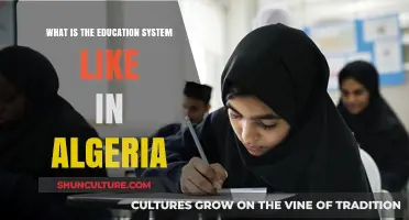 Exploring Algeria's Education System: Structure, Challenges, and Opportunities