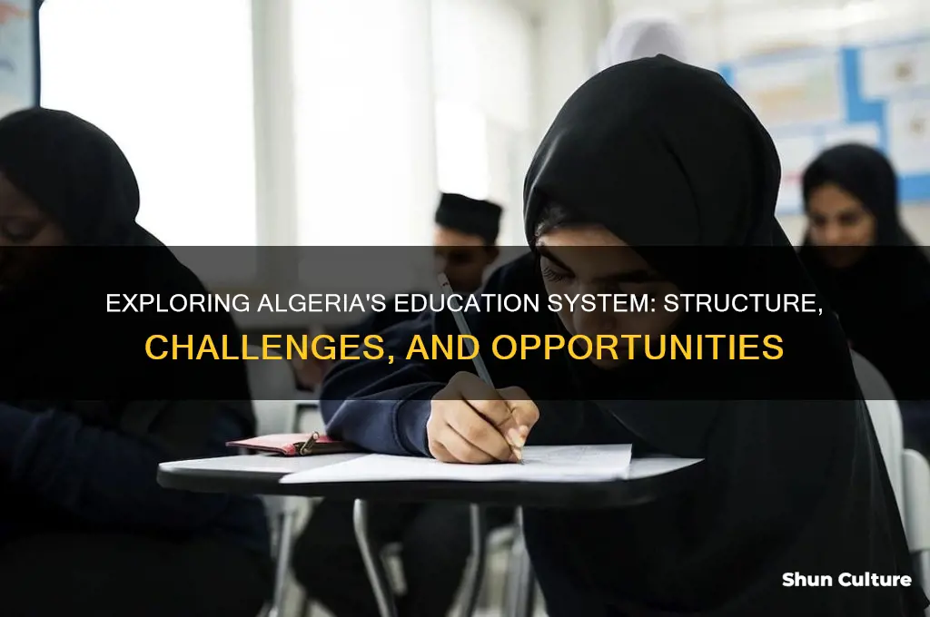 what is the education system like in algeria