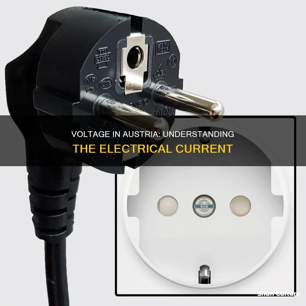 what is the electrical voltage in austria