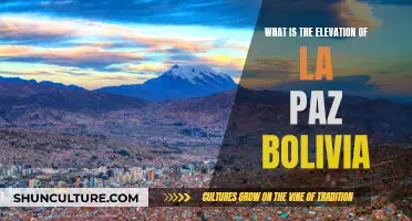 Exploring La Paz, Bolivia: A City Above the Clouds