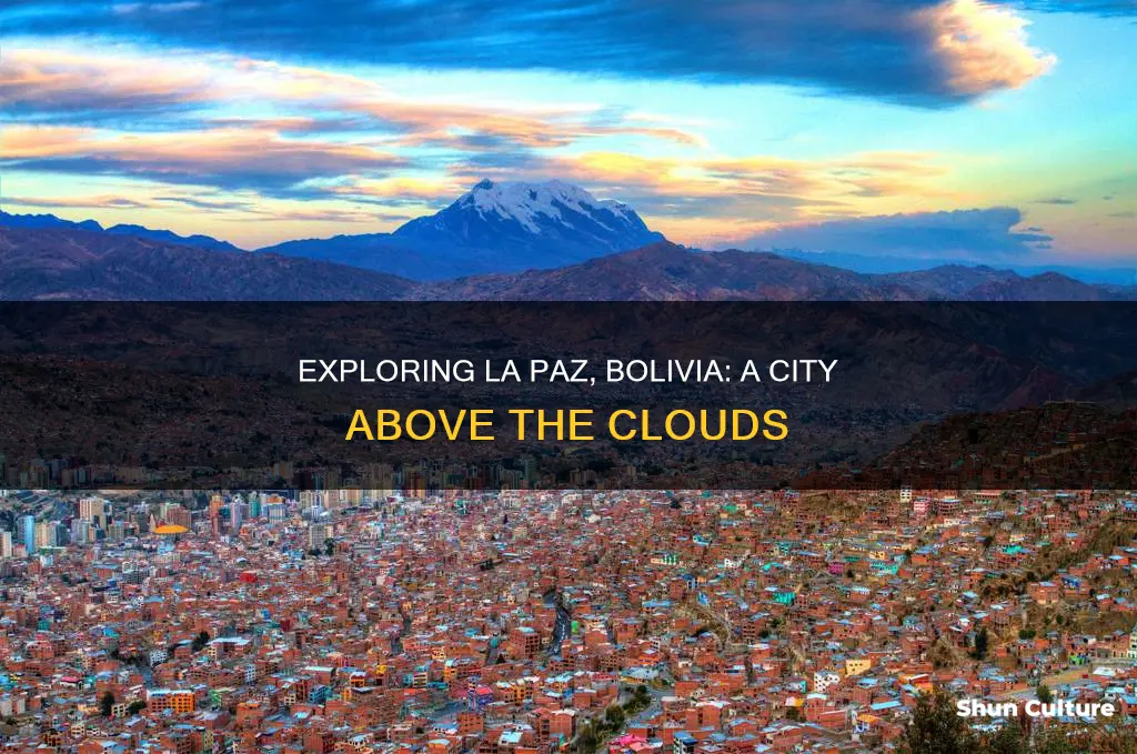 what is the elevation of la paz bolivia