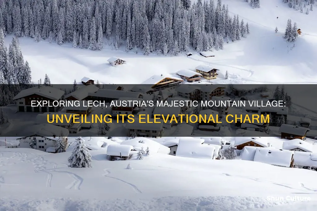 what is the elevation of lech austria