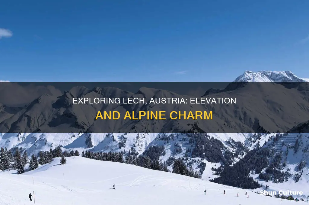 what is the elevation of lech austria