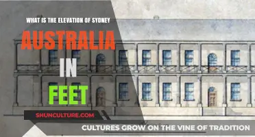 Sydney's Elevation: How High Above Sea Level in Feet?