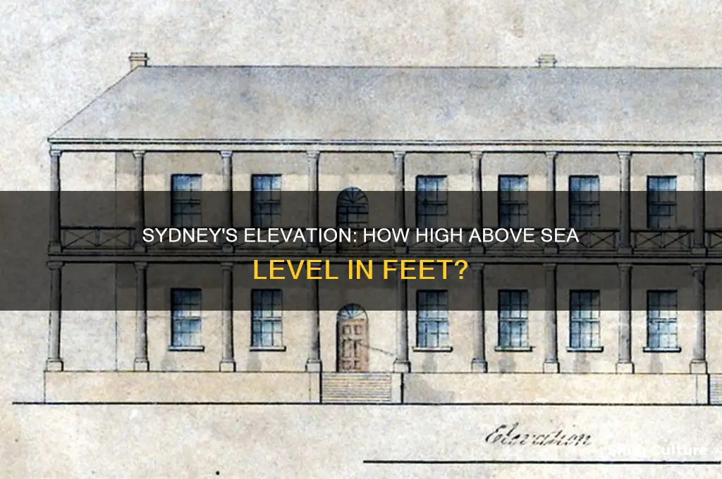 what is the elevation of sydney australia in feet