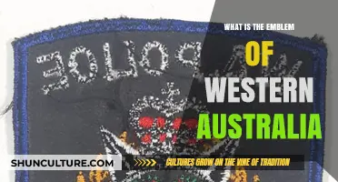 Western Australia's Emblem: The Black Swan Symbolism
