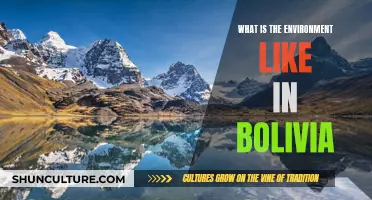 Exploring Bolivia's Unique Environment and Ecosystems