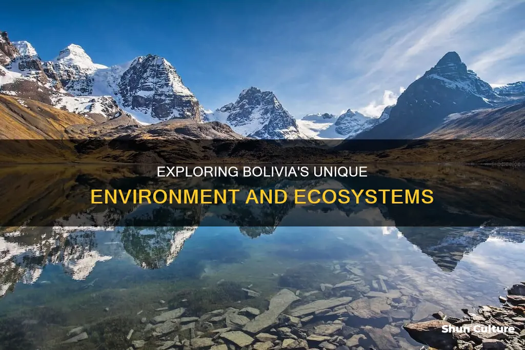 what is the environment like in bolivia