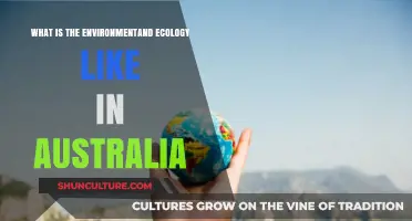 Exploring Australia's Unique Environment and Ecology: A Comprehensive Overview