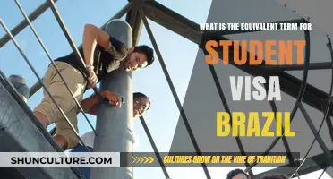 Understanding Brazil's Student Visa: Equivalent Terms and Application Process