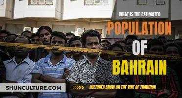 Exploring Bahrain's Population: Estimating the Country's Inhabitants