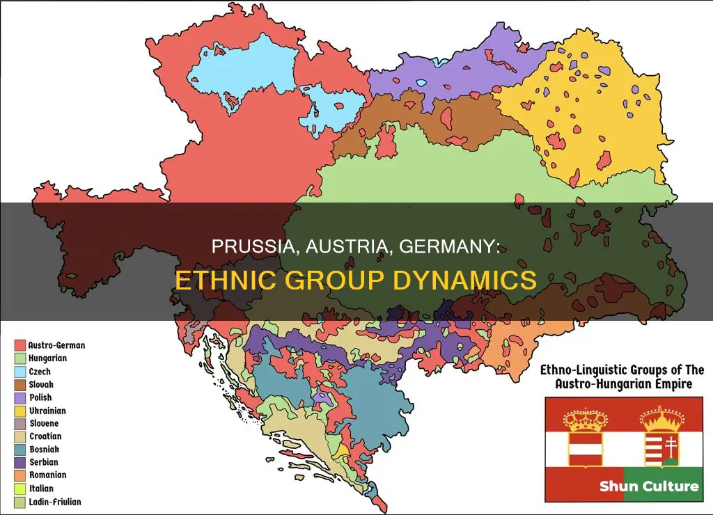 what is the ethnic group of prussia austria germany