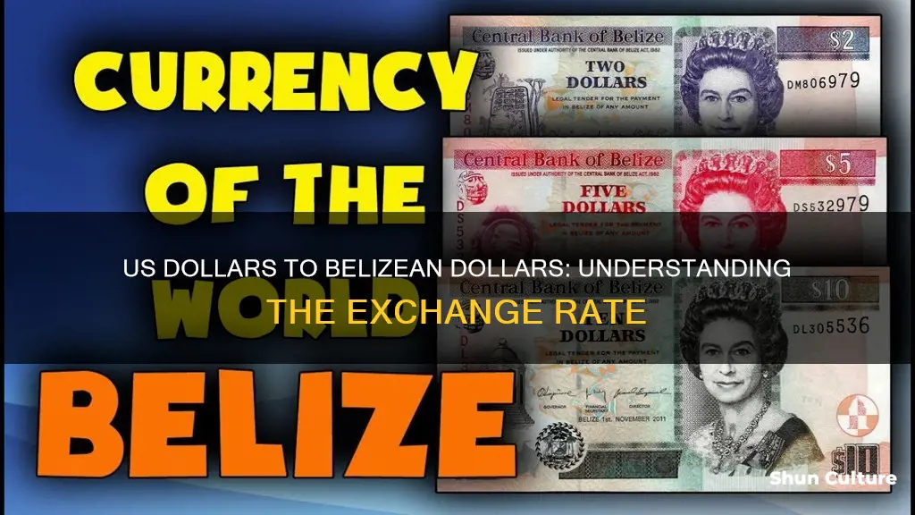 what is the excange rate between usa and belize