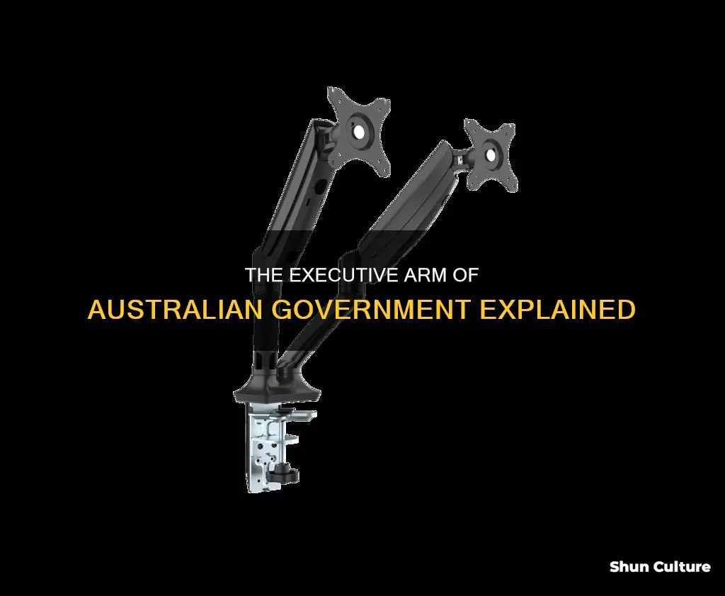 what is the executive arm of government in australia