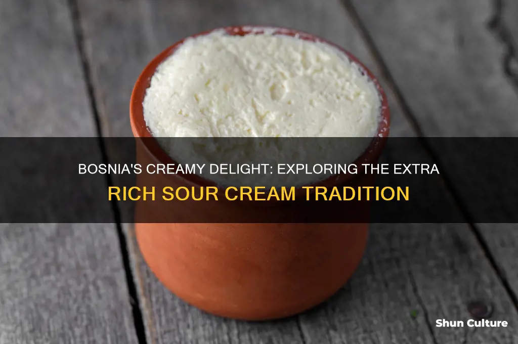 what is the extra rich sour cream called in bosnia