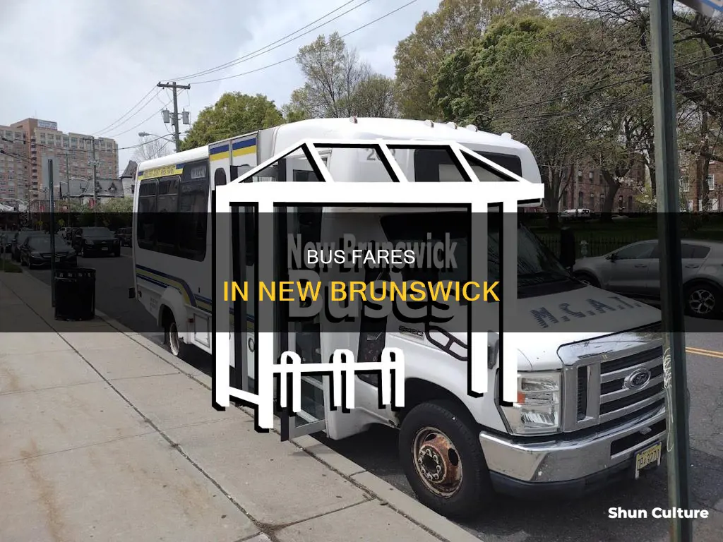 what is the fare 810 new brunswick bus