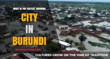 Exploring Burundi's Rapid Urbanization: A Look at the Fastest Growing City