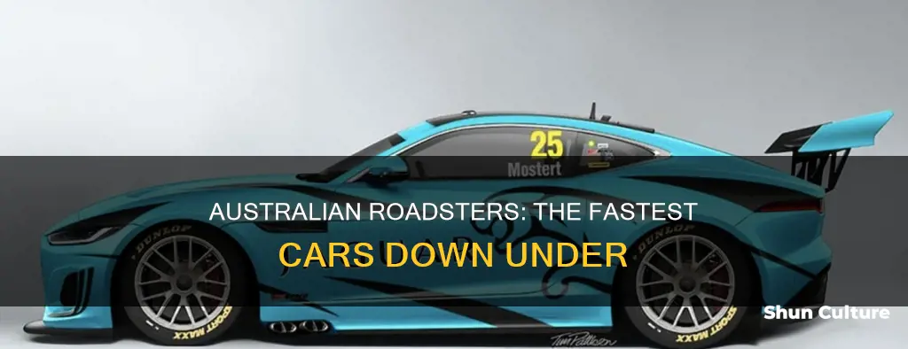 what is the fastest road car in australia