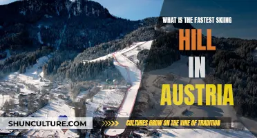 Austria's Speediest Slope: Unveiling the Country's Fastest Skiing Hill