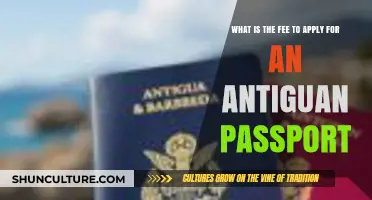 Antiguan Passport Application Fee: Cost and Requirements Explained