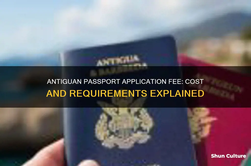 what is the fee to apply for an antiguan passport