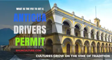 How Much Does an Antigua Driver's Permit Cost? A Guide